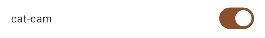 scan
